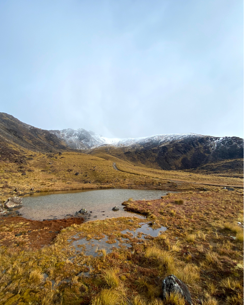 NZ Trip image 1