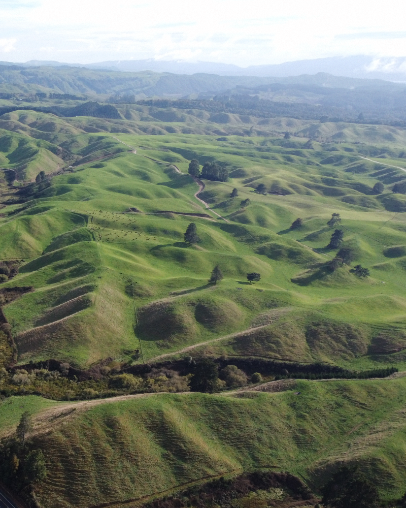 NZ Trip image 10
