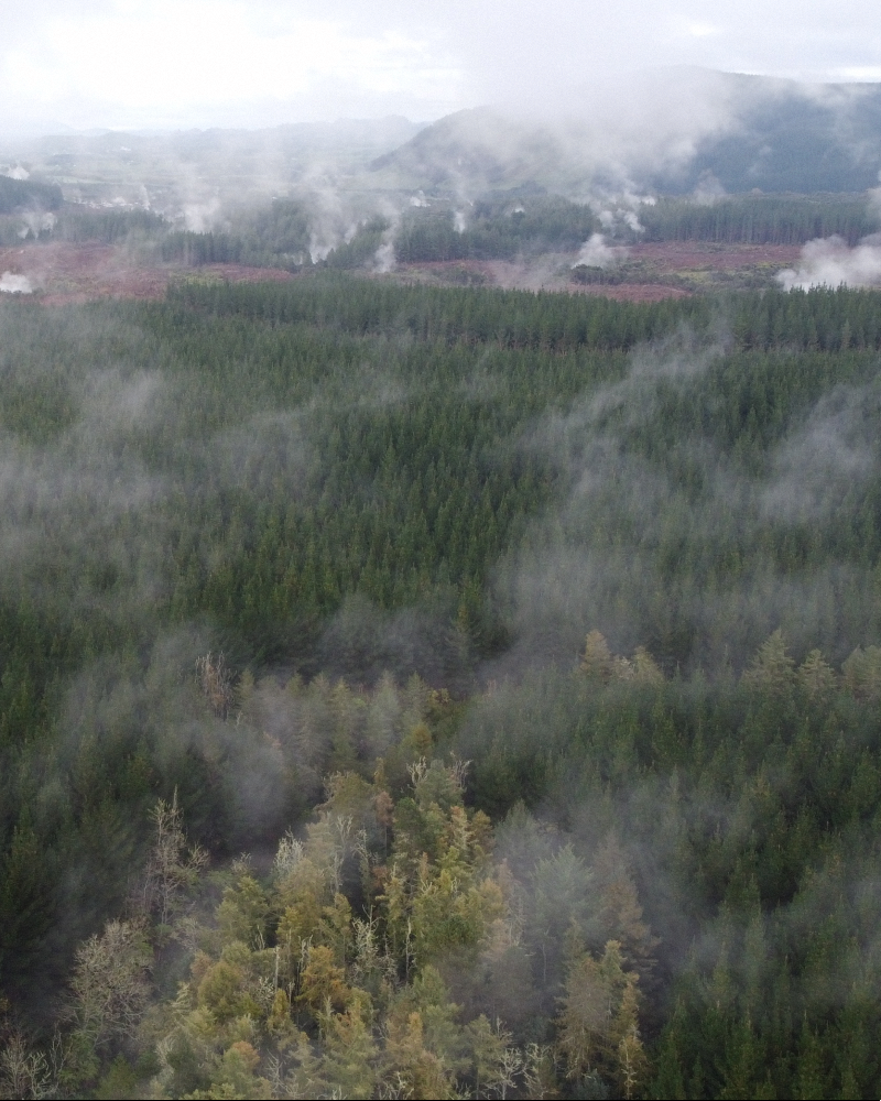 NZ Trip image 12