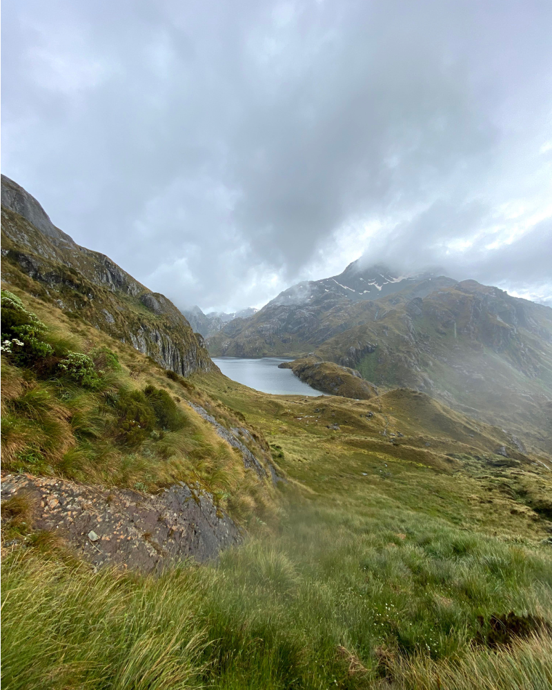 NZ Trip image 4