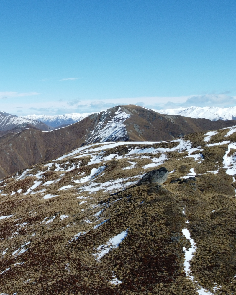 NZ Trip image 5