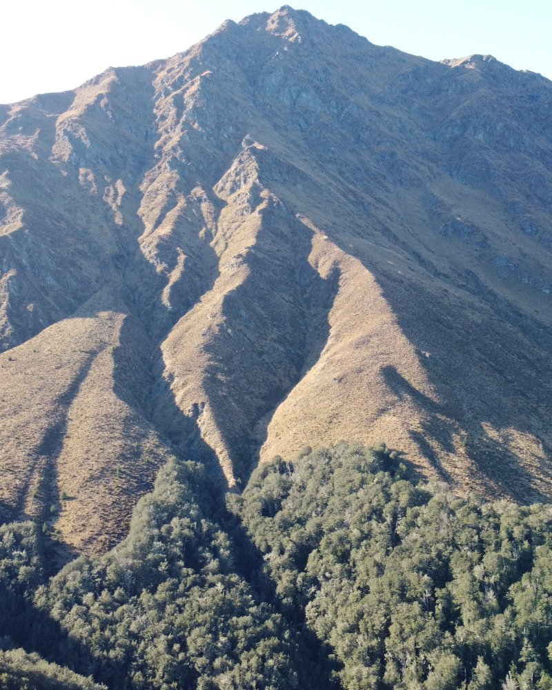 NZ Trip image 8